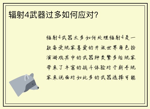 辐射4武器过多如何应对？