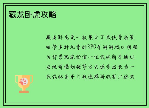 藏龙卧虎攻略